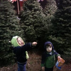 Meet your Posher, Evelyn